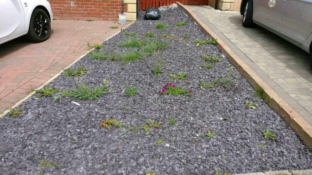 B&Q Garden Decorative Bark : Decorative Bark Chips B Q | Review Home