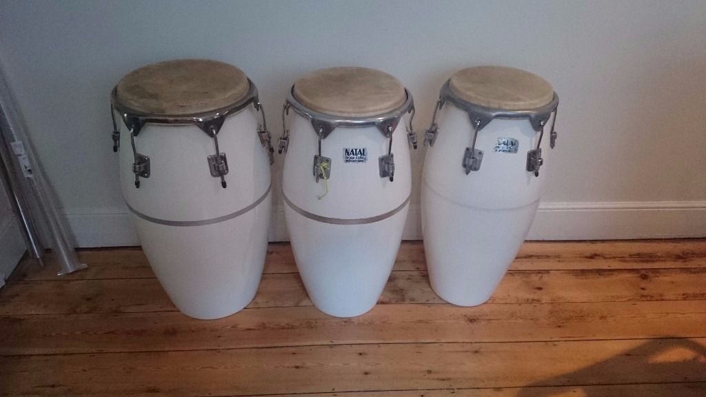 3 Natal Congas in Poole, Dorset Gumtree