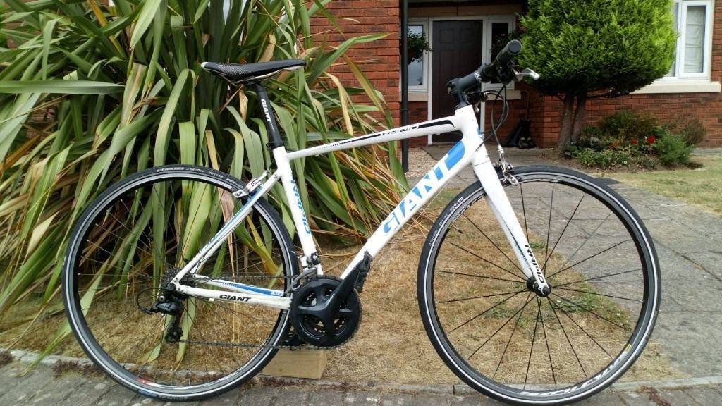 giant rapid 2 2018 flat bar road bike blue