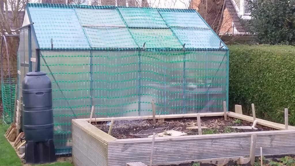 8x10ft greenhouse with polycarbonate panels in Wirral, Merseyside