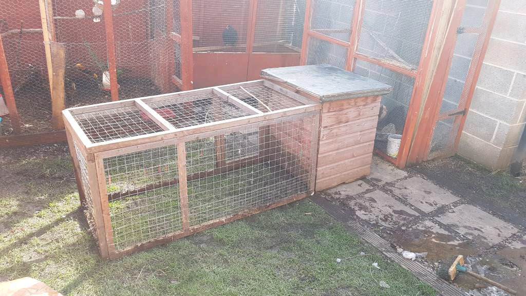 2 Chicken/rabbit coops + 2 separated runs in Batley, West Yorkshire