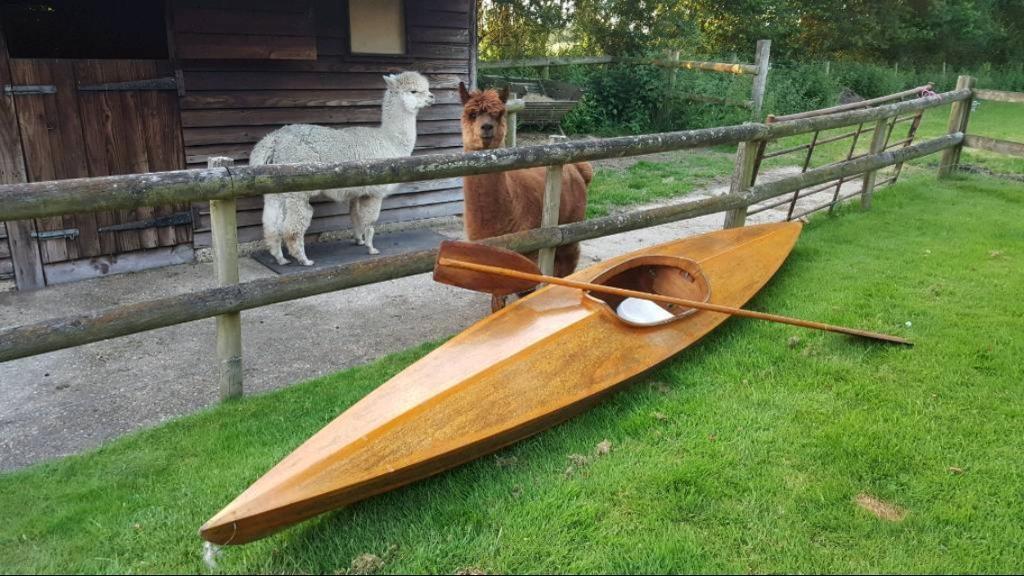 Beautiful wooden Kayak/Canoe | in Bournemouth, Dorset | Gumtree