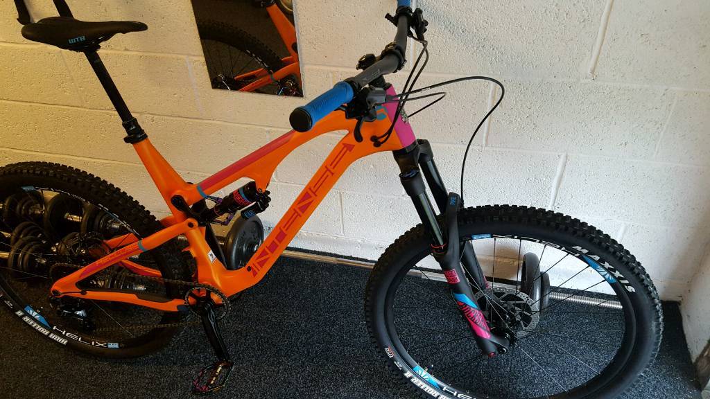 intense recluse carbon