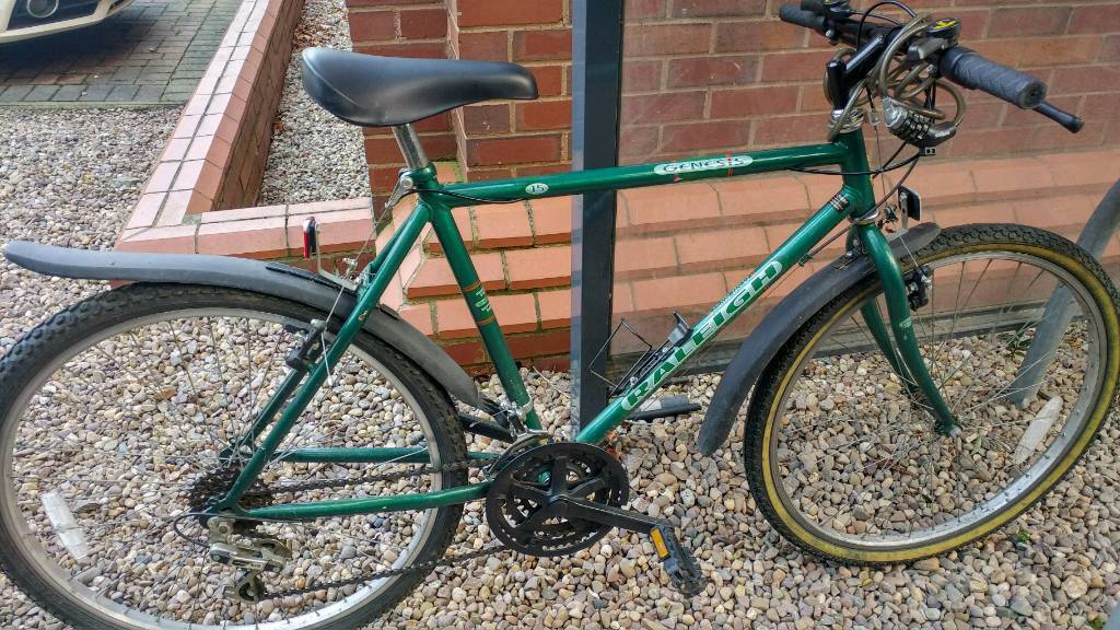 Raleigh Genesis 18 speed mountain bike in Northampton
