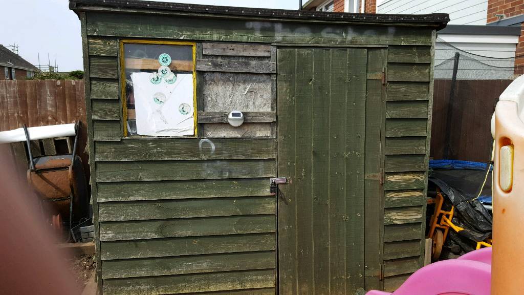 8x6 shed in norwich, norfolk gumtree