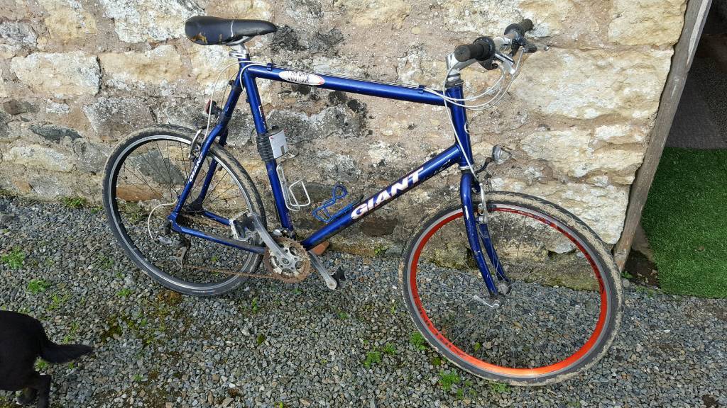 giant cold rock mountain bike