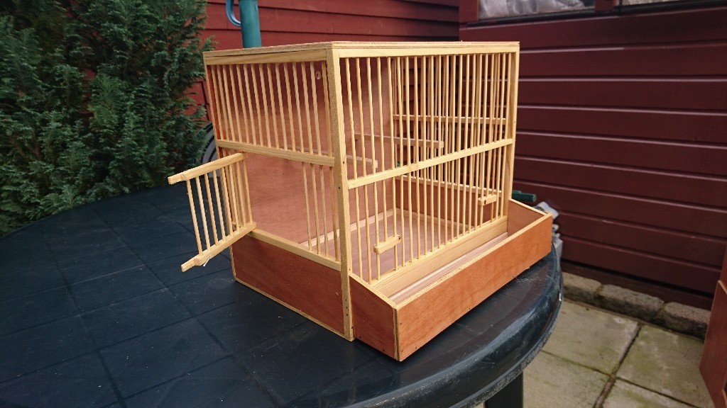 Canary / Mule Cage in Belfast City Centre, Belfast Gumtree