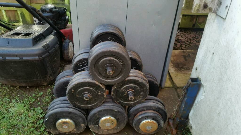 Olympic dumbells . Weights . Gym in Antrim, County Antrim Gumtree