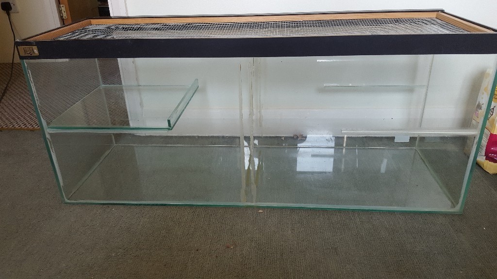 Glass gerbil tank in Banbury, Oxfordshire Gumtree