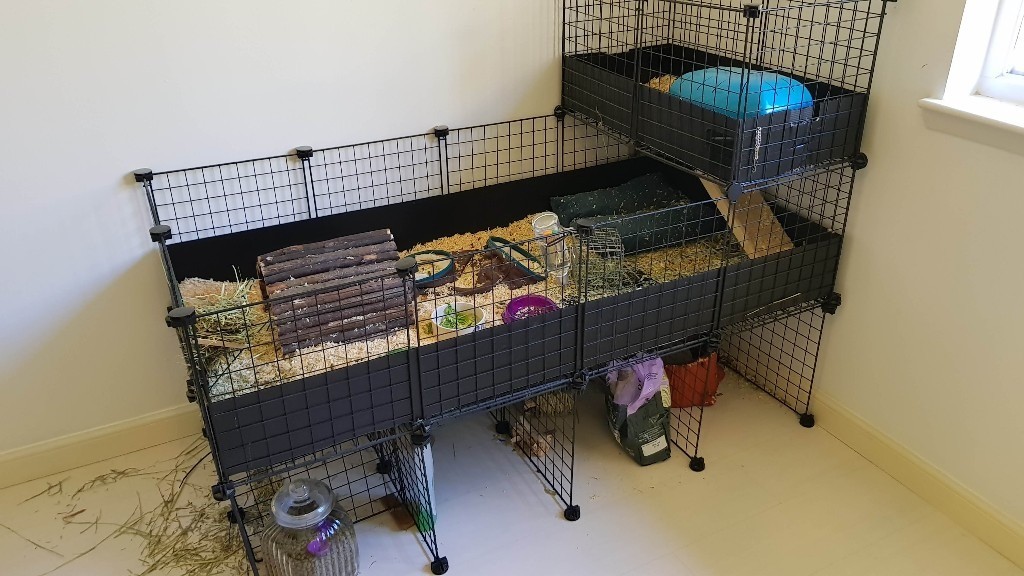 Guinea Pig Cage C&C + Liner + Fleece Liner in Aberdeenshire Gumtree