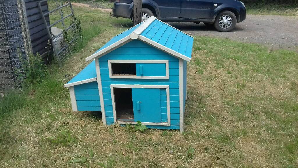 Chicken Duck house in Stafford, Staffordshire Gumtree