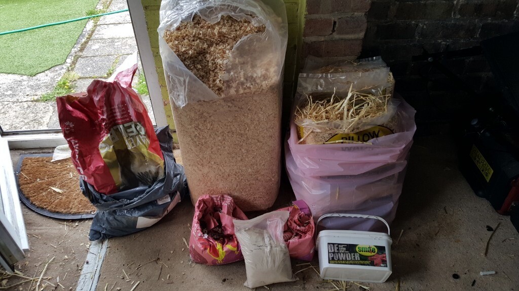 Poultry chicken hen sawdust wood chip straw mite powder grit corn eglu