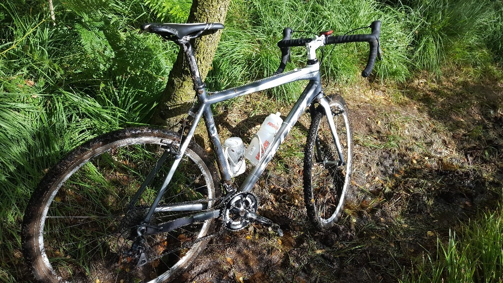 scott cx team