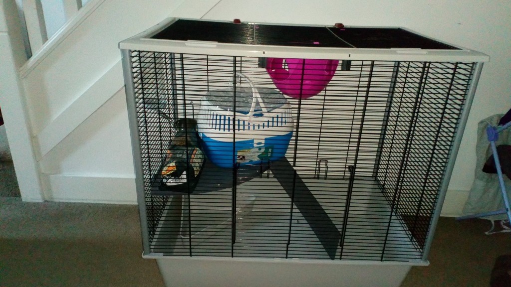 Large rat cage for sale one week old in Fleet, Hampshire Gumtree