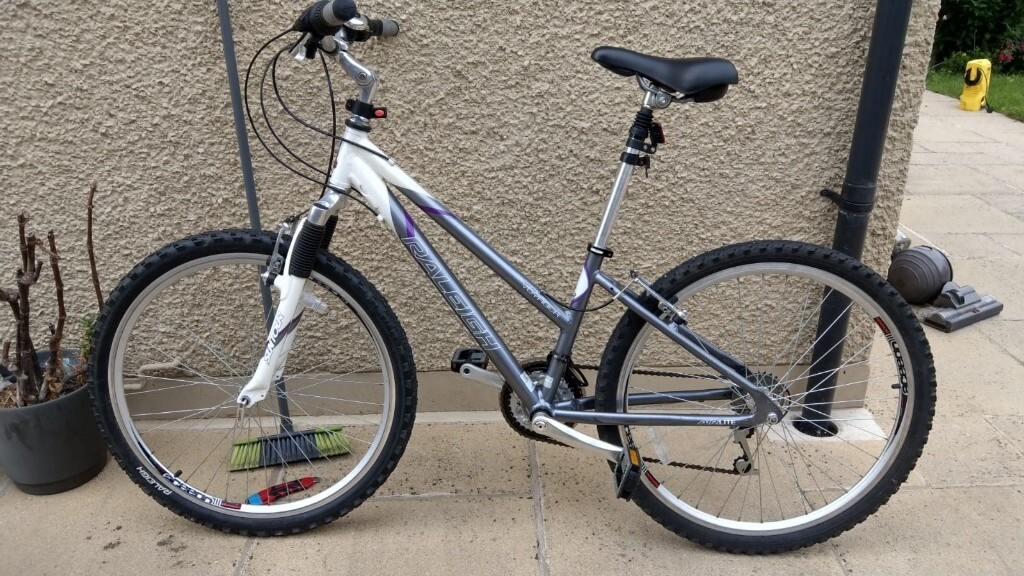 raleigh 24 mountain bike