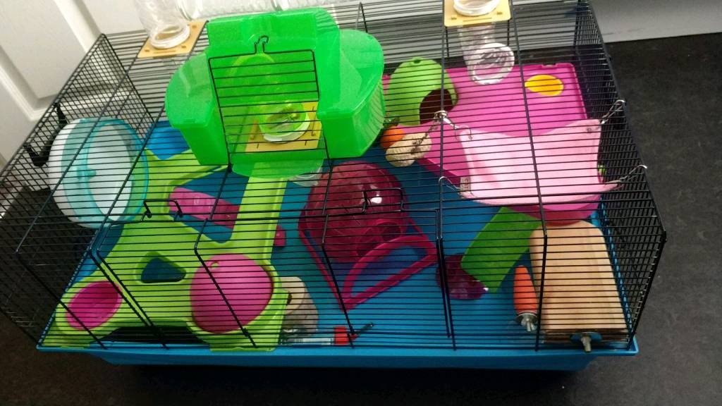 Savic Hamster Heaven. CLEAN Hamster Cage in Rhos on Sea, Conwy Gumtree