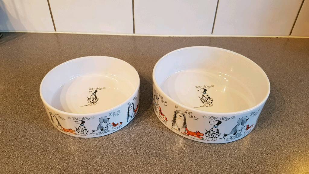Mason Cash Dog Bowl Set Large & Medium Top Dog Design Feeding Drinking