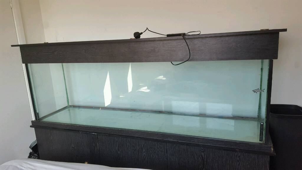 Aquarium fish tank 6ft in Easterhouse, Glasgow Gumtree