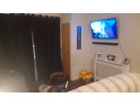 2 bed 1st floor flat looking for 3 bed