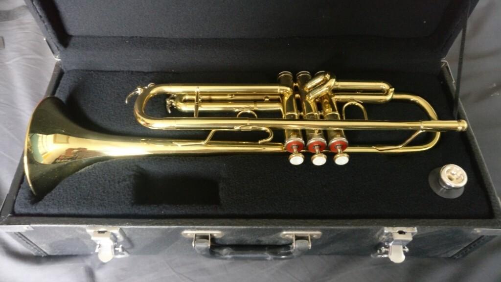 Trumpet for sale b flat, perfect condition, ideal for student in