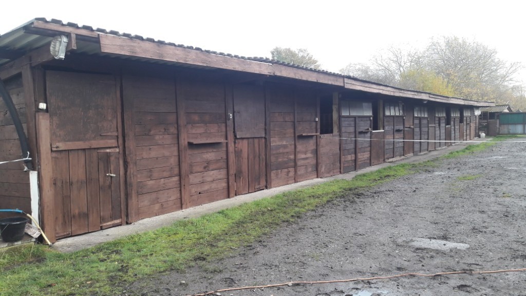 Livery stables to let in StokeonTrent, Staffordshire Gumtree