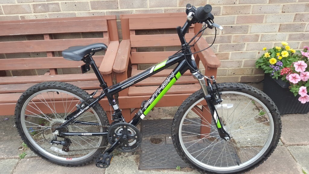 python rock bike 24