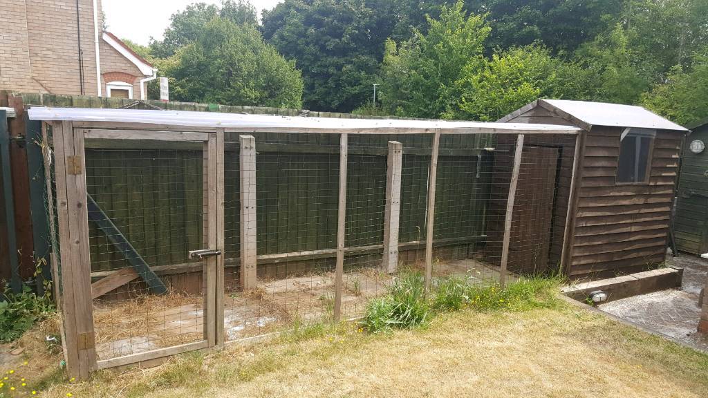 Chicken Coop Pet Dog Runshed In Nuthall Nottinghamshire Gumtree