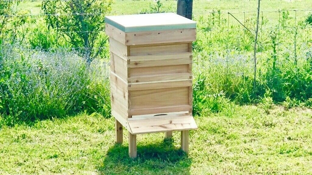 Beehive, bee hive National standard assembled,genuine English red cedar