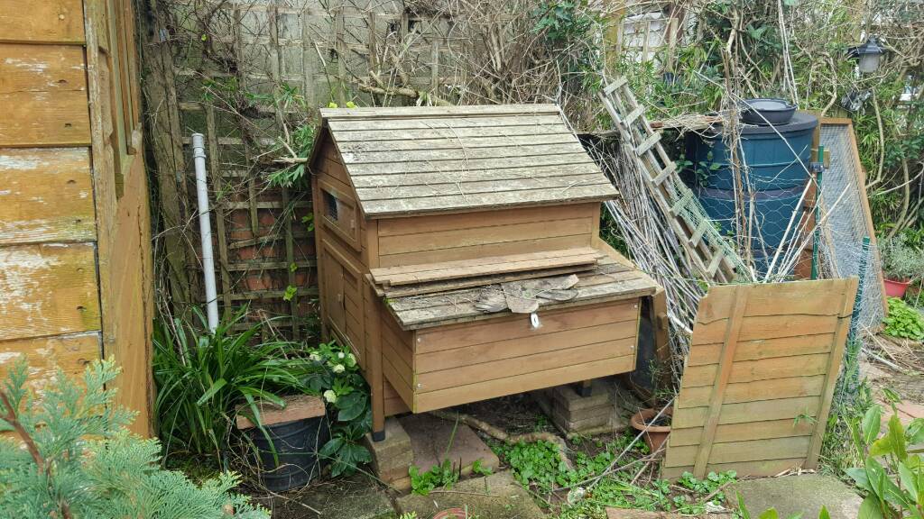 Large Chicken coop up to 6 hens in Albany Road 