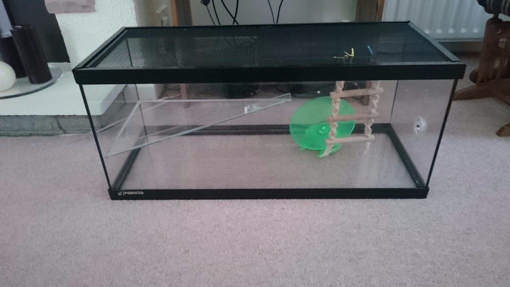 2.5 x 1 ft Perfecto glass tank for mice, gerbils or dwarf hamsters in
