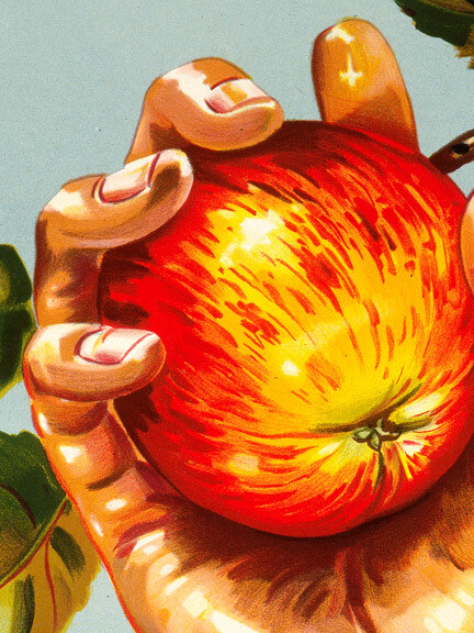 muku　Apple Poster muku Apple Poster muku Apple Poster Nice Vintage Apple