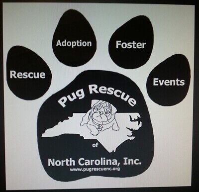 Pug Rescue of North Carolina