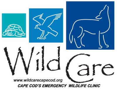 Wild Care, Inc.