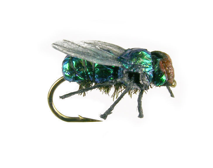 Sonstige Angelsport-Köder, -Futtermittel & -Fliegen