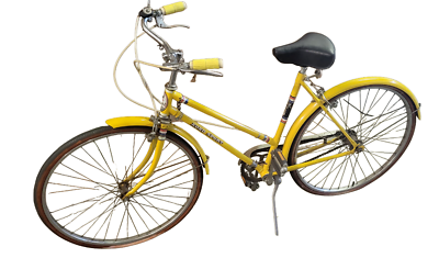 Ladies Koko Sport 3000 3 speed Bicycle Original