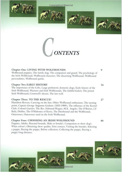 The Magnificent Irish Wolfhound : Mary McBryde : LikeNew Hardcover  @ZB