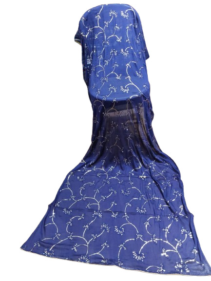 Sequence Work and Mirror Dupatta