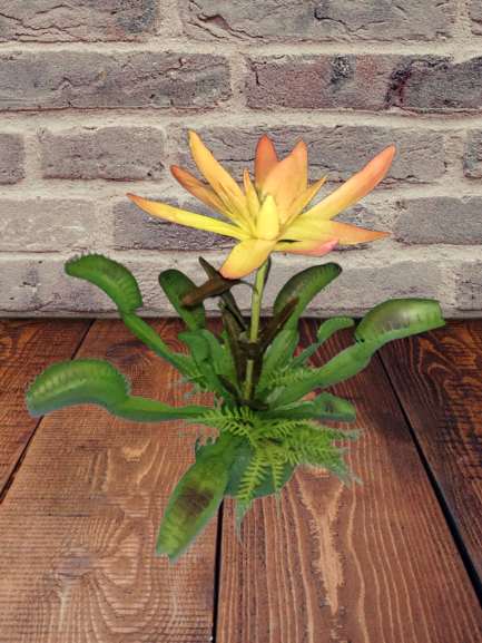 Artificial Venus Fly Trap with protea flower and ferns