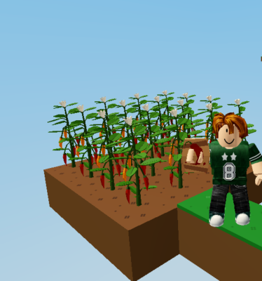 Islands Roblox Skyblock 30 Chilli Pepper Seeds Fastest Delivery Sale Ebay