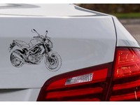 Suzuki real CARBON FIBER Tank Cap Filler Cover Sticker Inazuma 250 Gladius 650