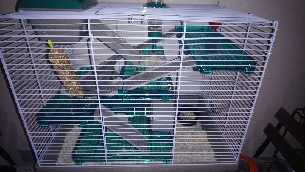 Russian Dwarf Hamster Cage Extras In Southampton