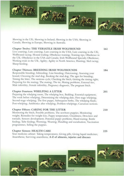 The Magnificent Irish Wolfhound : Mary McBryde : LikeNew Hardcover  @ZB