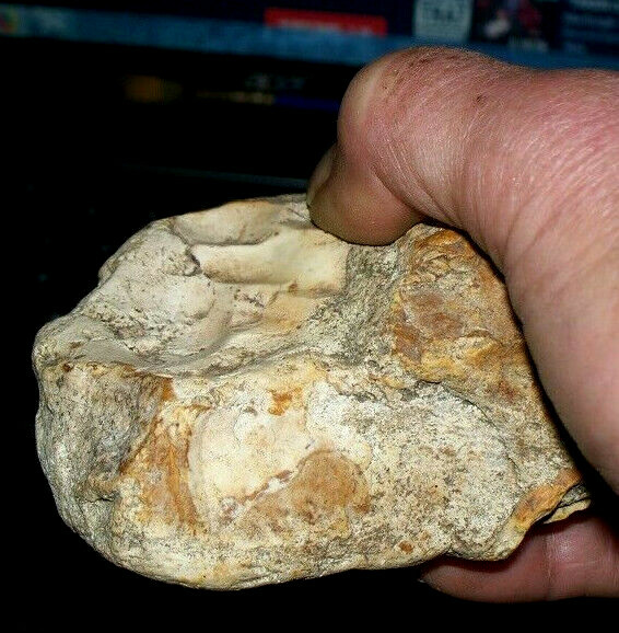 Authentic multi use hand tool with documentation Paleolithic Prehistory