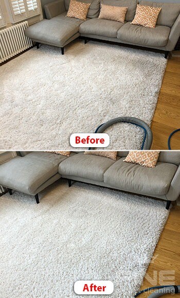 50 Off Professional Carpet And Upholstery Steam Cleaning Stain