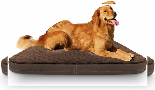 Orthopedic Foam Beds 40