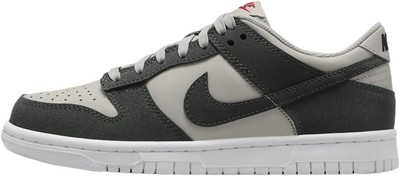 Кроссовки для больших детей Nike Dunk Low HF LT Железорудные/антрацитово-белые (FZ1000 001)
