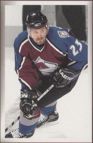 2003-04 Upper Deck Bee Hive - Milan Hejduk #50