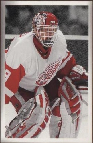 2003-04 Upper Deck Bee Hive - Dominik Hasek #73