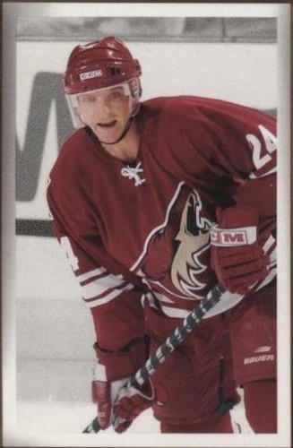 2003-04 Upper Deck Bee Hive - Jan Hrdina #151