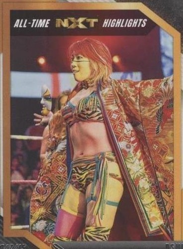 ASUKA【マットカード】2016 TOPPS☆レリックカード／NXT